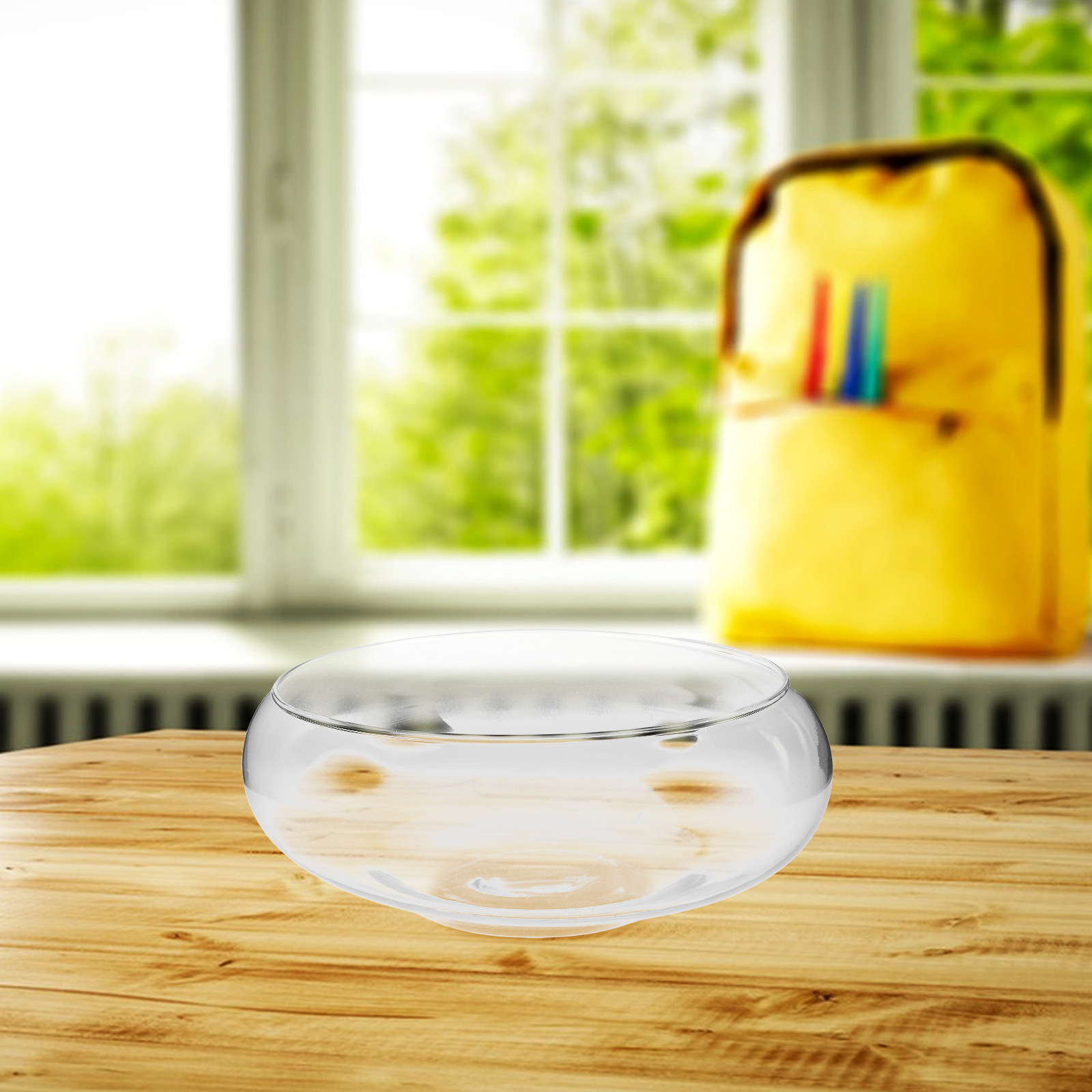 Glass Hydroponic Planter Bowl  - Aquarium Plants recension och pris